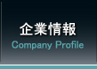 Ⱦ Company Profile